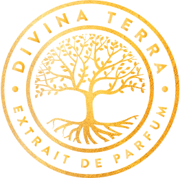 Дивина Терра