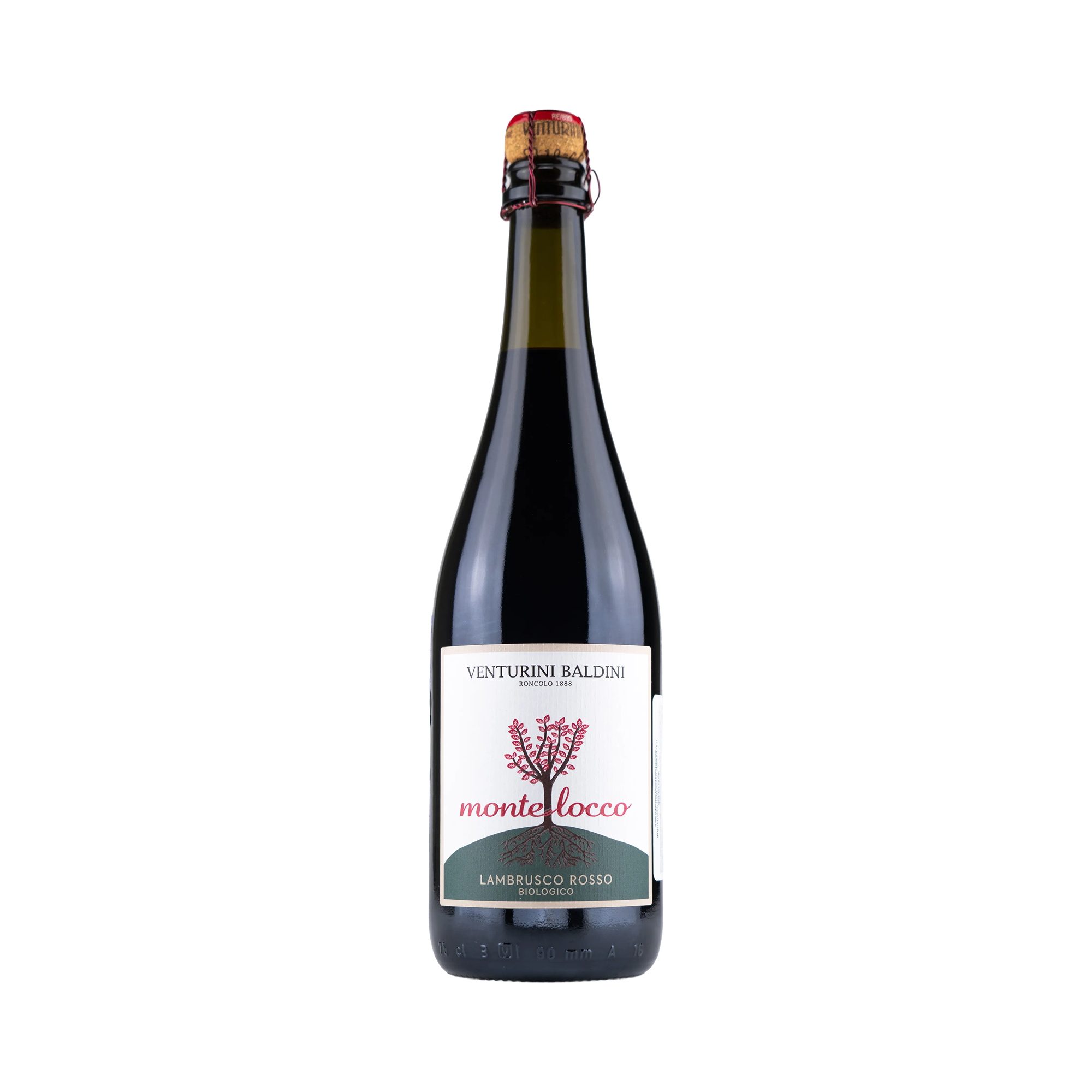 Montelocco Lambrusco Emilia IGP vino frizzante rosso semi-secco 16 g/l (Lambrusco, Salamino) Metodo Charmat corto